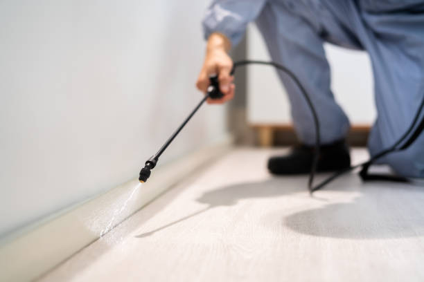 Rodent Entry Point Assessment in Decatur